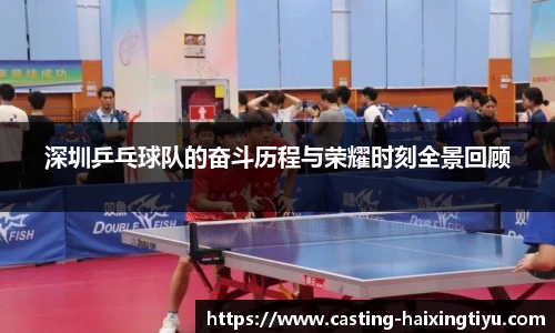 深圳乒乓球队的奋斗历程与荣耀时刻全景回顾